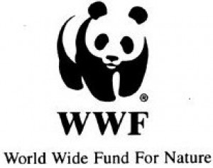 wwf_logo.jpg